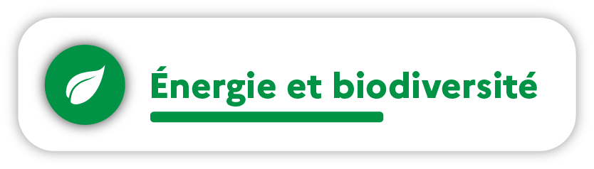 Écologie et biodiversité